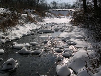 Frosty look for Crittenden Creek
